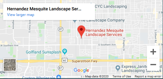 Mesquite Landscape Services, Mesquite Landscape Services Mesa Az